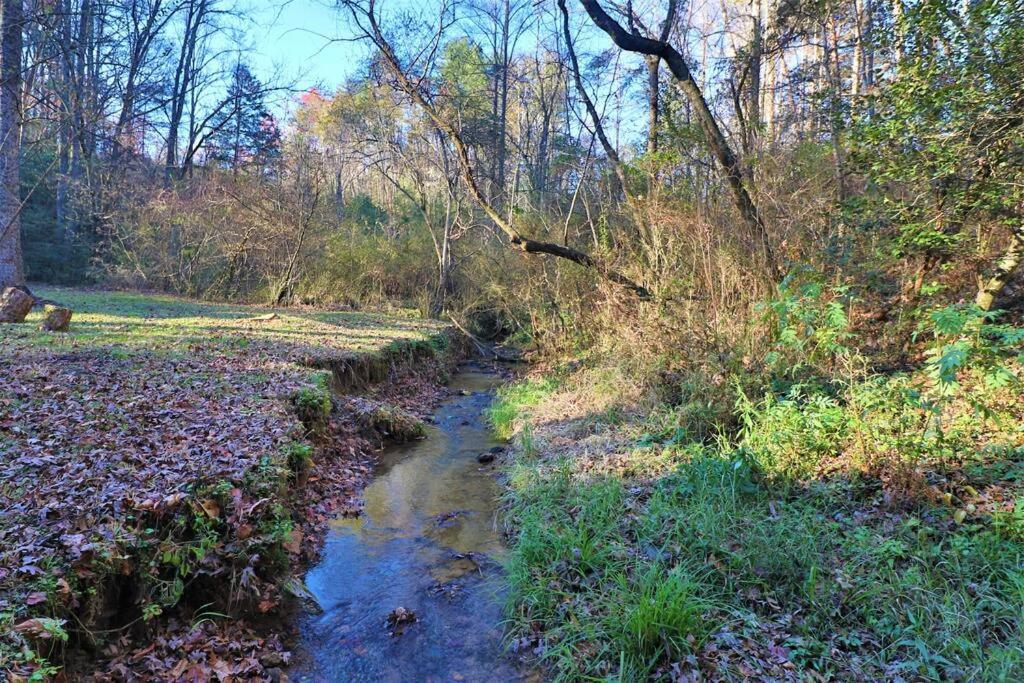 Amazing Fireplace And Stream #11